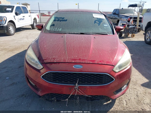 1FADP3K24GL391214 Ford Focus