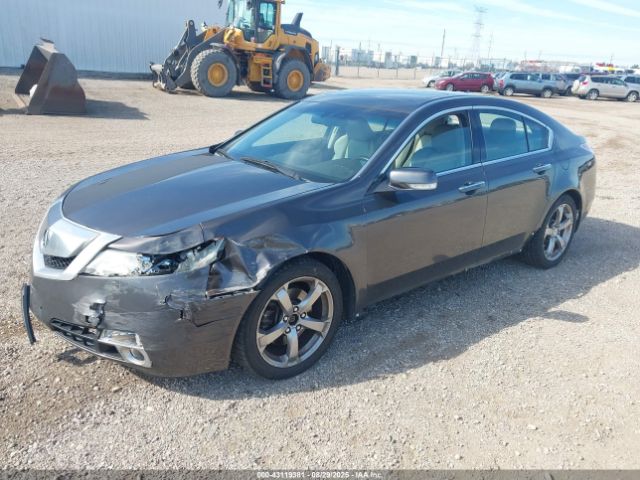 2010 ACURA TL 19UUA9F59AA000520 Photo 1