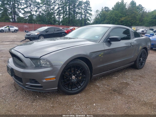 1ZVBP8AM8E5299040 Ford 2014