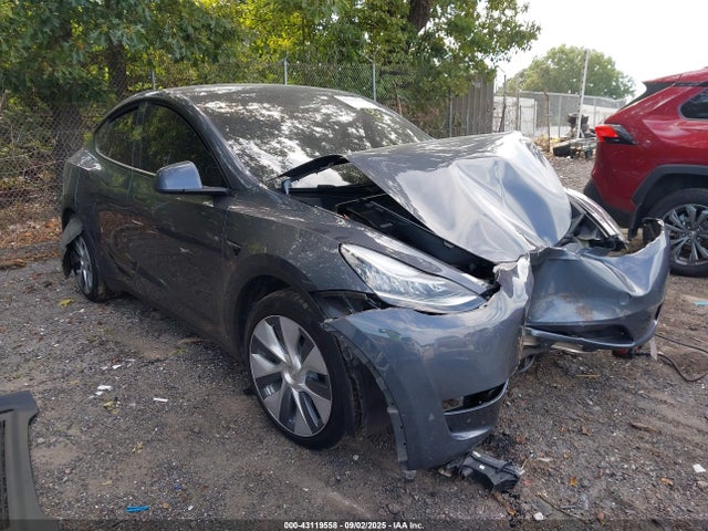 2023 TESLA MODEL Y 7SAYGDEE6PA052156 Photo 0