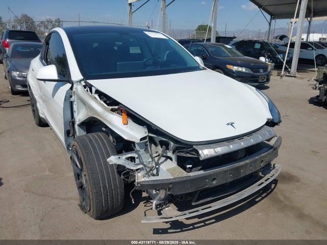 2021 TESLA MODEL Y 5YJYGDEE5MF097696 Photo 0