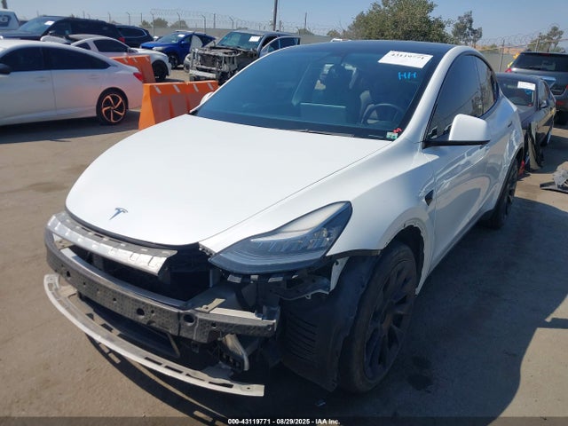 2021 TESLA MODEL Y 5YJYGDEE5MF097696 Photo 1