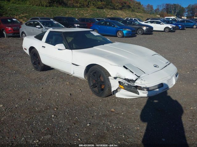 1994 CHEVROLET CORVETTE 1G1YY22P9R5102584