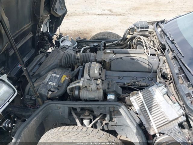 1994 CHEVROLET CORVETTE 1G1YY22P9R5102584 Photo 9