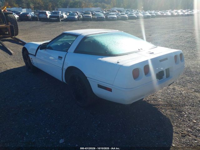 1994 CHEVROLET CORVETTE 1G1YY22P9R5102584 Photo 2