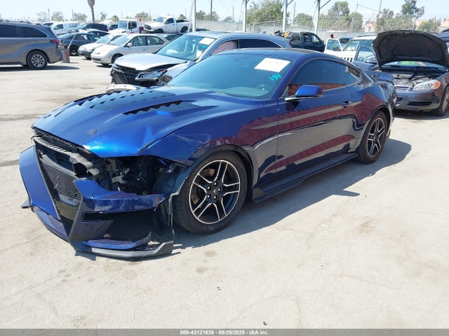 Ford 4v 2019 1FA6P8TH0K5184261 Image 2