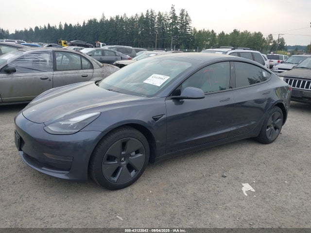 Tesla MODEL 3 2021 5YJ3E1EA1MF028810 Image 2