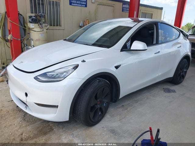 2023 TESLA MODEL Y 7SAYGDEE9PA096765 Photo 1