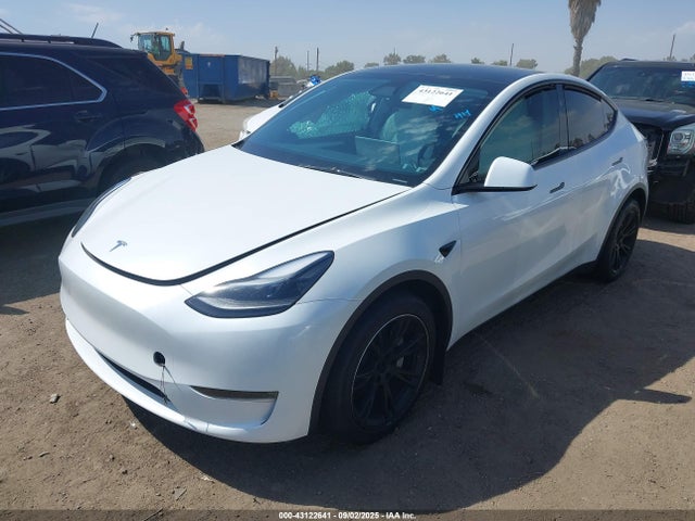 2023 TESLA MODEL Y 7SAYGDEE9PA172257 Photo 1