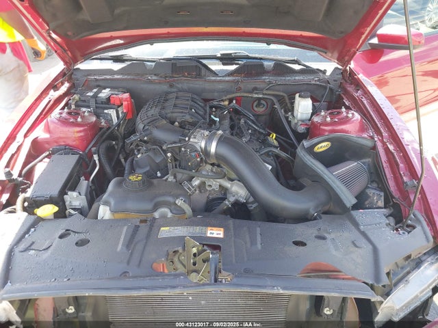 1ZVBP8AM8E5263087 Ford Mustang