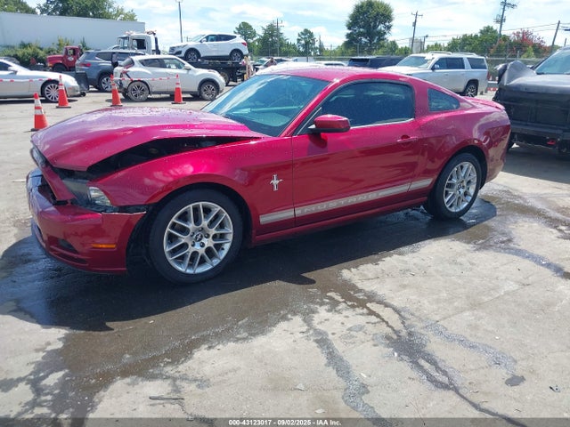 1ZVBP8AM8E5263087 Ford Mustang