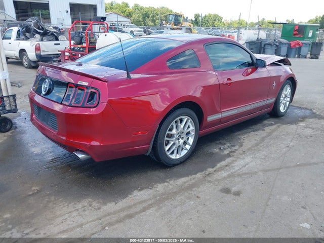 1ZVBP8AM8E5263087 Ford Mustang