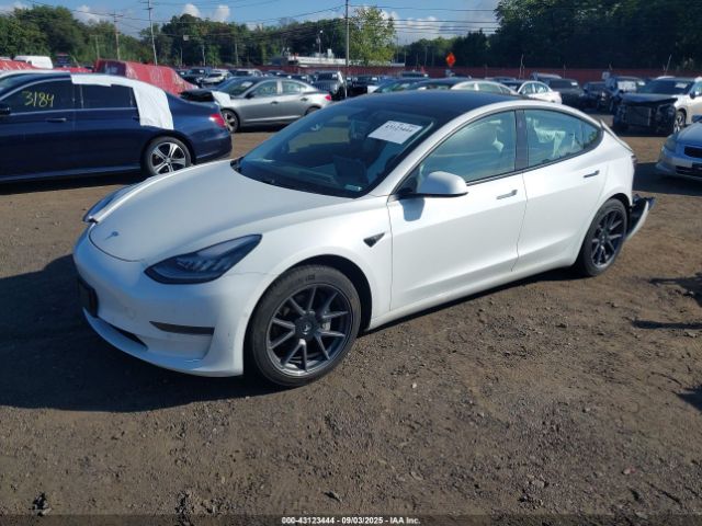 2021 TESLA MODEL 3 5YJ3E1EA9MF851839 Photo 1