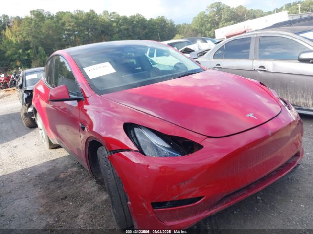 2023 TESLA MODEL Y 7SAYGDEE7PF673151 Photo 0