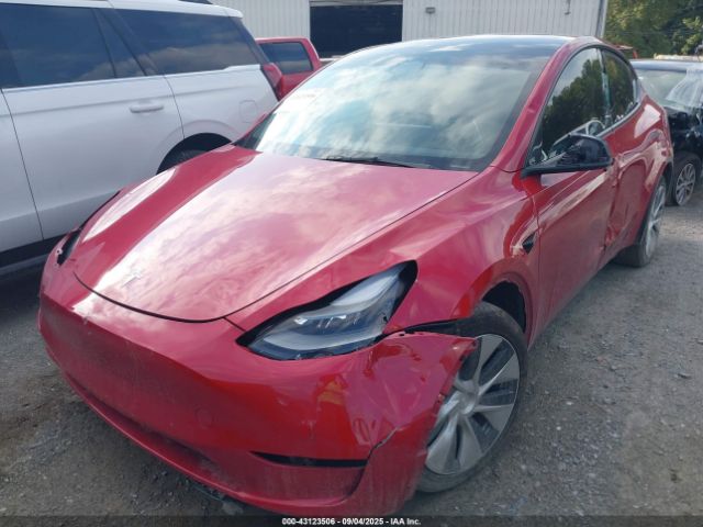 2023 TESLA MODEL Y 7SAYGDEE7PF673151 Photo 1