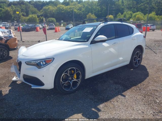 2021 ALFA ROMEO STELVIO ZASPAKBN3M7D16092 Photo 1