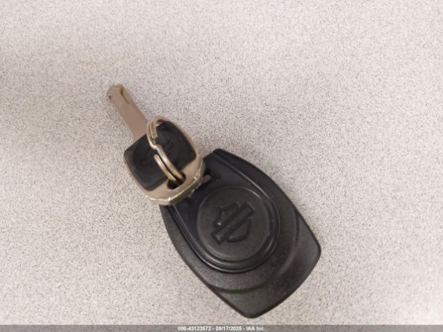 2023 HARLEY-DAVIDSON RH1250 1HD1ZC419PB315794 Photo 10