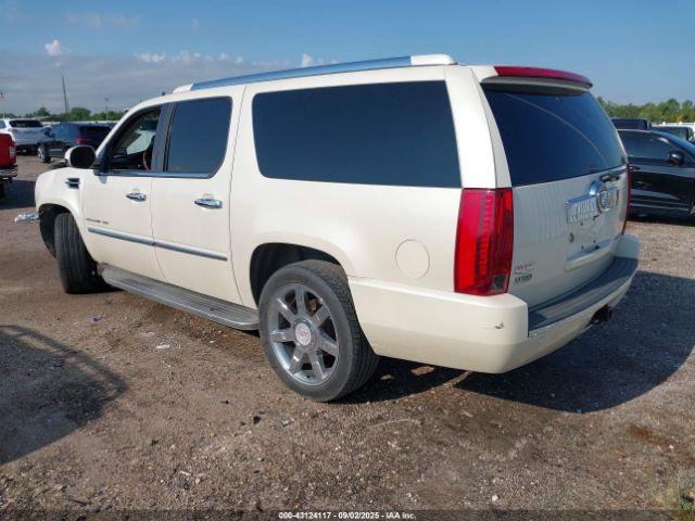 2009 CADILLAC ESCALADE ESV 1GYFK26289R299748 Photo 2