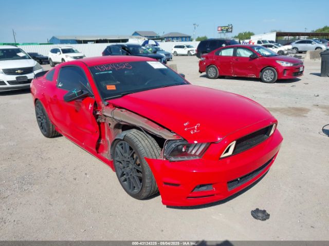 2013 FORD MUSTANG 1ZVBP8AM0D5280044