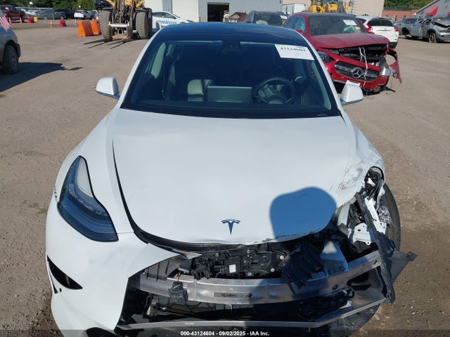 2019 TESLA MODEL 3 5YJ3E1EB1KF454180 Photo 9