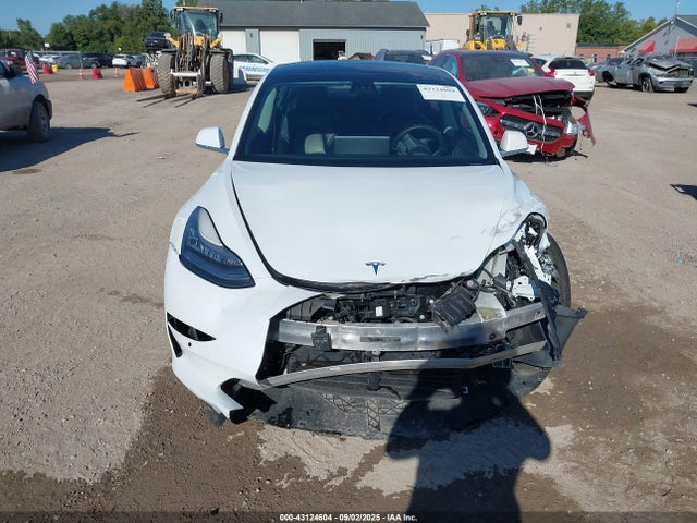 2019 TESLA MODEL 3 5YJ3E1EB1KF454180 Photo 5