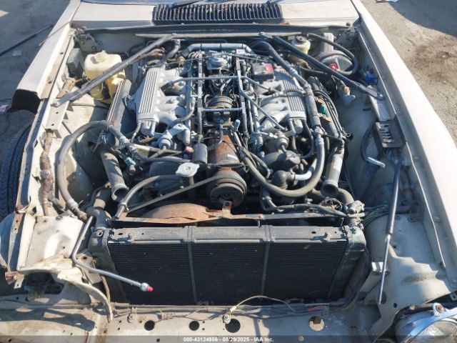1985 JAGUAR XJS SAJNV5846FC117893 Photo 9