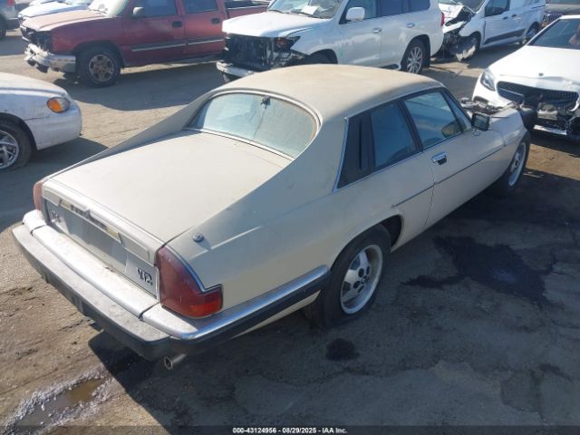 1985 JAGUAR XJS SAJNV5846FC117893 Photo 3