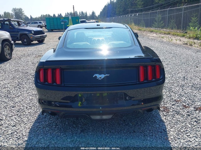 Ford 2016 2016 1FA6P8TH7G5284882 Image 16