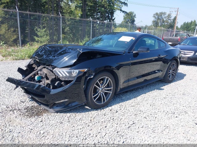 Ford 2016 2016 1FA6P8TH7G5284882 Image 2