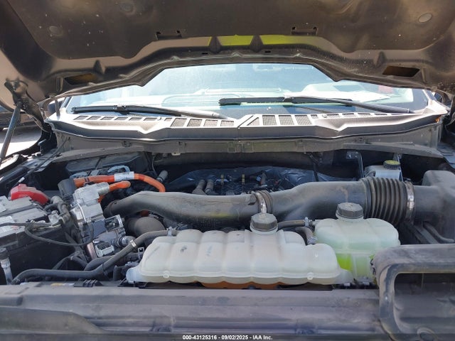 Ford 2024 2024 1FTFW3LD5RFA03365 Image 10