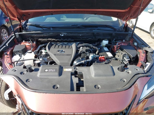 Lexus t24a-fts 2025 2T2GGCEZ1SC077662 Image 10