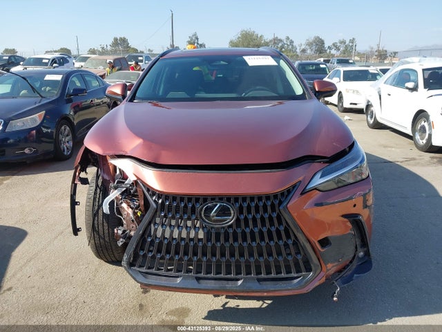 Lexus t24a-fts 2025 2T2GGCEZ1SC077662 Image 12