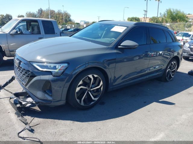 2024 AUDI Q8 E-TRON WA15AAGEXRB027700 Photo 1
