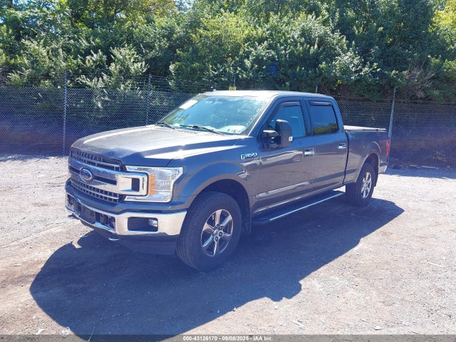 Ford gtdi 2019 1FTFW1E42KFB01390 Image 2