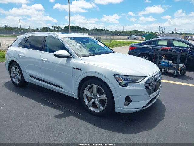 2019 AUDI E-TRON WA1LAAGE4KB024966