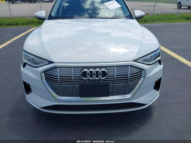 Продаж на аукціоні авто 2019 Audi E-tron Premium Plus, vin: WA1LAAGE4KB024966, номер лоту: 43126257