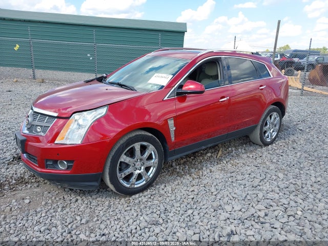 2010 CADILLAC SRX 3GYFNFEY6AS543242 Photo 1