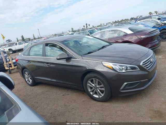 5NPE24AF4HH483498 Hyundai 2017