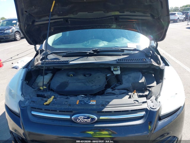Ford ESCAPE SE 2014 1FMCU9G95EUA23019 Image 10
