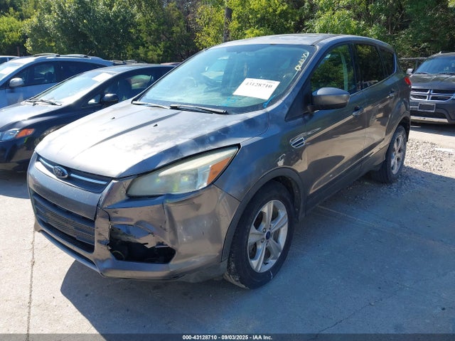 1FMCU0G96EUC21152 Ford Escape