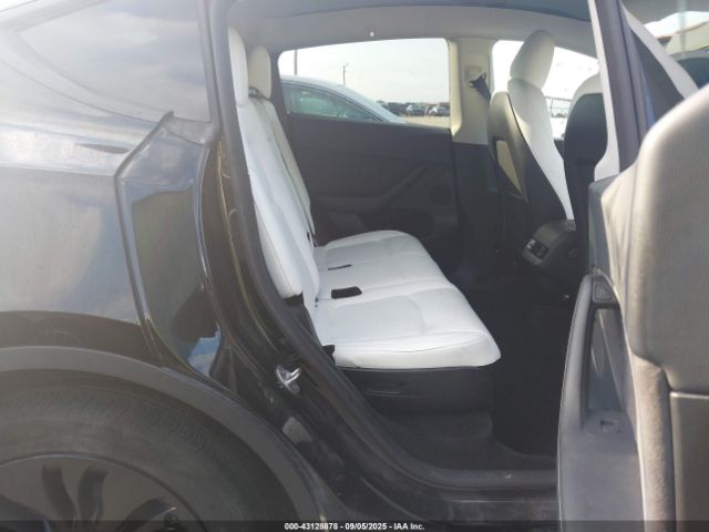 2023 TESLA MODEL Y 7SAYGAEE7PF767951 Photo 7