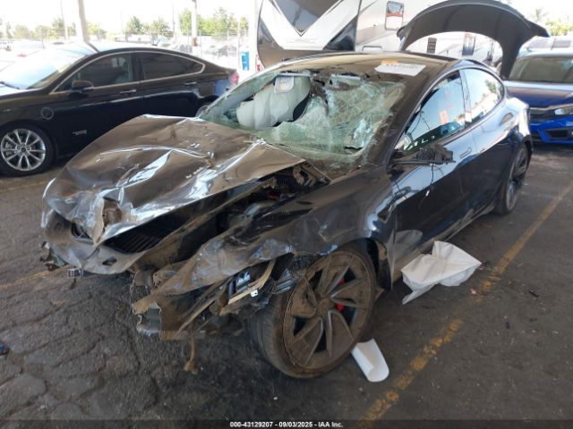 2025 TESLA MODEL 3 5YJ3E1ET7SF986848 Photo 5