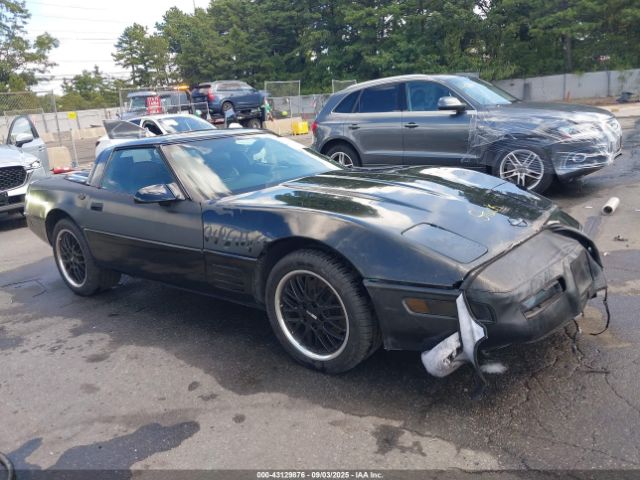 1991 CHEVROLET CORVETTE 1G1YY2388M5102186