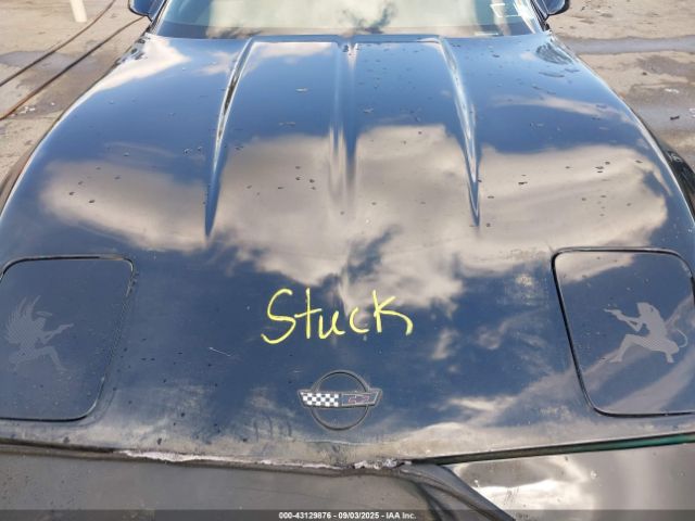 1991 CHEVROLET CORVETTE 1G1YY2388M5102186 Photo 9