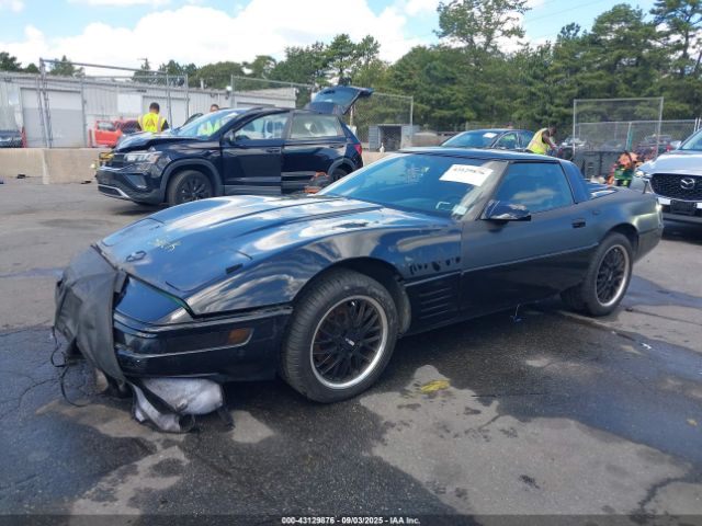 1991 CHEVROLET CORVETTE 1G1YY2388M5102186 Photo 1