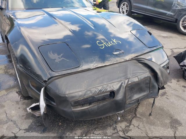 1991 CHEVROLET CORVETTE 1G1YY2388M5102186 Photo 5