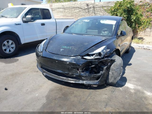 2023 TESLA MODEL 3 5YJ3E1EA6PF477145 Photo 5