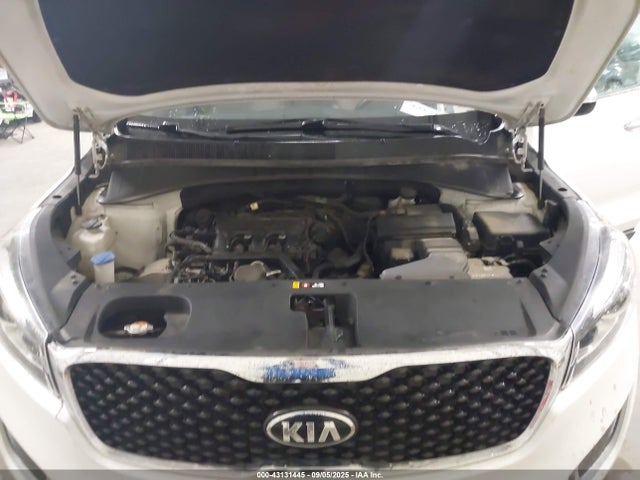 5XYPG4A59HG253125 KIA 2017