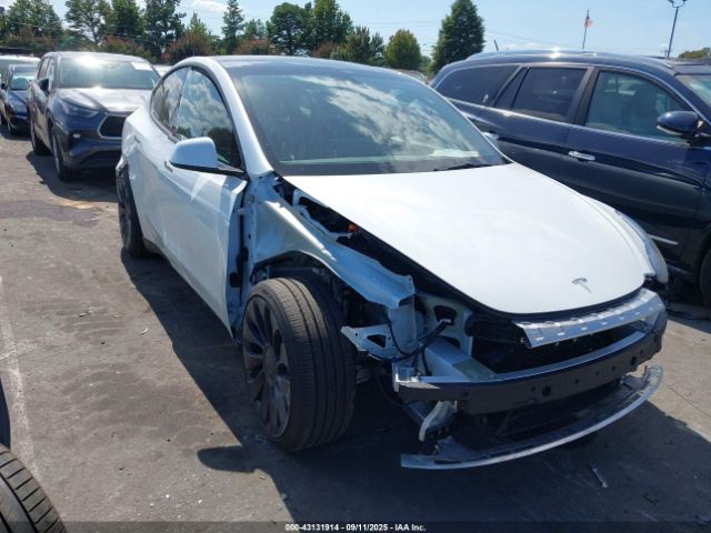 2025 TESLA MODEL Y 7SAYGDEF2SF298271