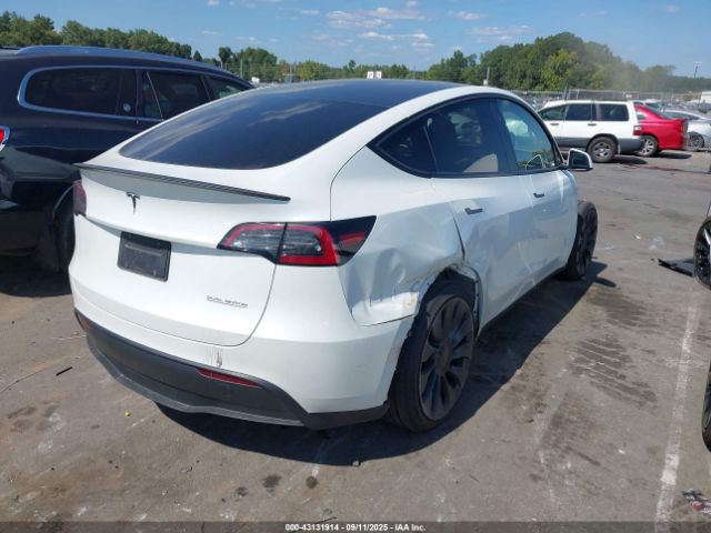 2025 TESLA MODEL Y 7SAYGDEF2SF298271 Photo 3